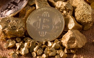 The best places to buy Bitcoin Gold after it surges in value