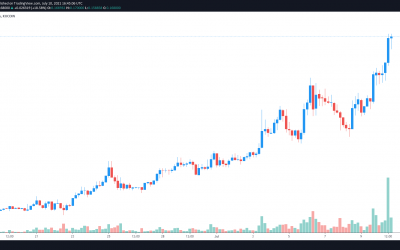 3 reasons why Constellation (DAG) price outperformed most altcoins this week