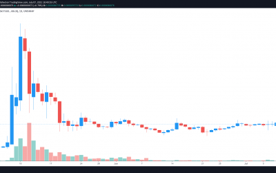 Shiba Inu (SHIB) DEX ShibaSwap surpasses $1B TVL 24-hours after launch