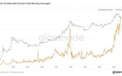 New Bitcoin entities near all-time high as analyst heralds ‘positive whale activity’