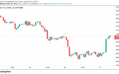 Bitcoin bulls defend yearly open after BTC price rebounds 5.5% from $29K