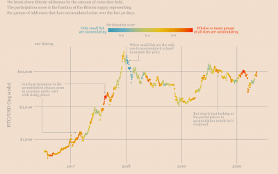 Bitcoin accumulation accelerates among ‘whales’ and ‘fish,’ while BTC rallies to $40K