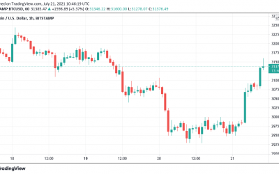 Bitcoin rebounds to $31.6K, but warnings of another BTC price plunge are everywhere