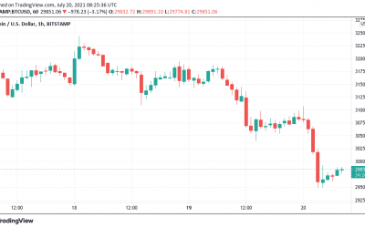 Crypto joins stocks in ‘extreme fear’ after Bitcoin loses $30K support