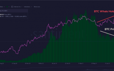 Crypto Whales Increase Bitcoin Holdings, Adding $3,210,000,000 in BTC to Portfolios Since May: Santiment