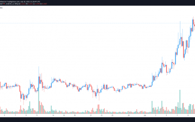 Small Love Potion (SLP) price doubles as Axie Infinity user growth explodes