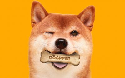 Brazilian Burger King Customers Can Now Purchase Meat-Flavored Dog Biscuits With Dogecoin