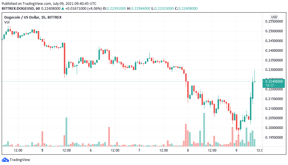 Dogecoin gains 8% after Elon Musk says DOGE payments compete with Bitcoin, Ethereum