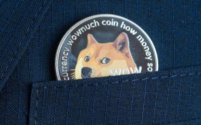 Dogecoin’s Downward Slide: 2-Month Stats Show Meme-Based Crypto Is Down 76%