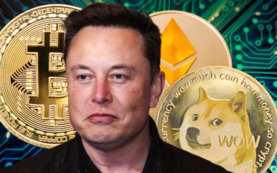 Elon Musk Reveals Spacex Owns Bitcoin, He Personally Owns BTC, Ethereum, Dogecoin — ‘I Might Pump but I Don’t Dump’