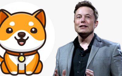 Elon Musk Tweet Sends New Baby Doge Coin Soaring — Meme Token’s Daily Gains Jump 228%