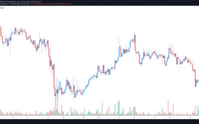 Record network activity and a second NFT boom send WAX price higher