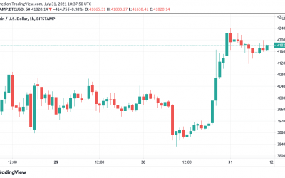 Bitcoin records rare 10-day winning streak as BTC price taps $42K ceiling