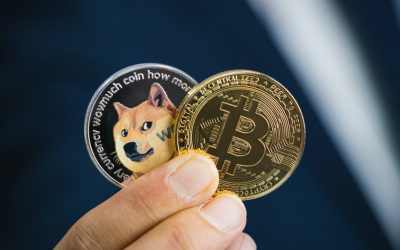 Report Suggests Robinhood Owns Largest Dogecoin Address and Third-Largest BTC Wallet