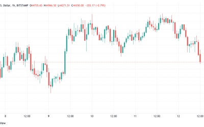 Bitcoin loses 4% in challenge to bulls’ push for $50K — Watch these BTC price support levels