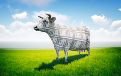 Where to buy CashCow Finance: CCF clocks 150% daily gains