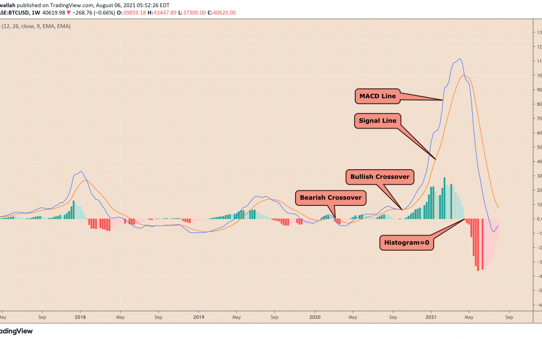 Bitcoin fractal that predicted 2020 rally flashes again as BTC price reclaims $40K