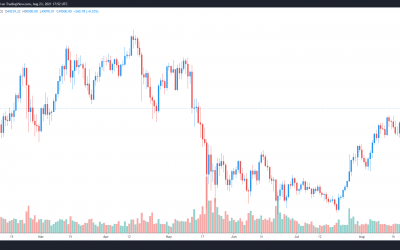 Here’s what traders expect now that Bitcoin price rallied back to $50K