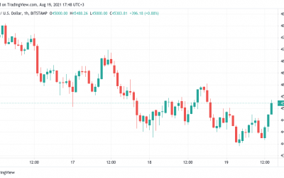 BTC price holds $44K support in ‘great sign’ for Bitcoin bulls