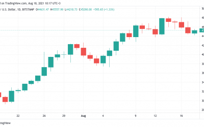 Bitcoin ‘will remind everyone who the king is’ says trader as BTC dips to $44K