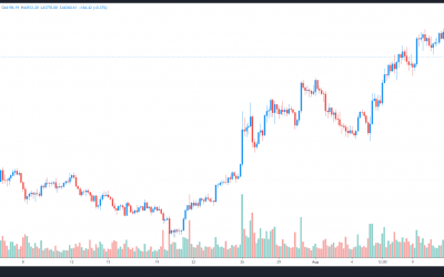 Analysts say Bitcoin price “needed a breather” before chasing new highs