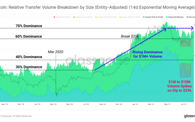 Large hodlers accumulate Bitcoin below $50K as BTC transactions over $1M soar