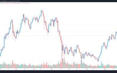 Analysts say Bitcoin price pullback and profit-taking at $50K ‘was expected’