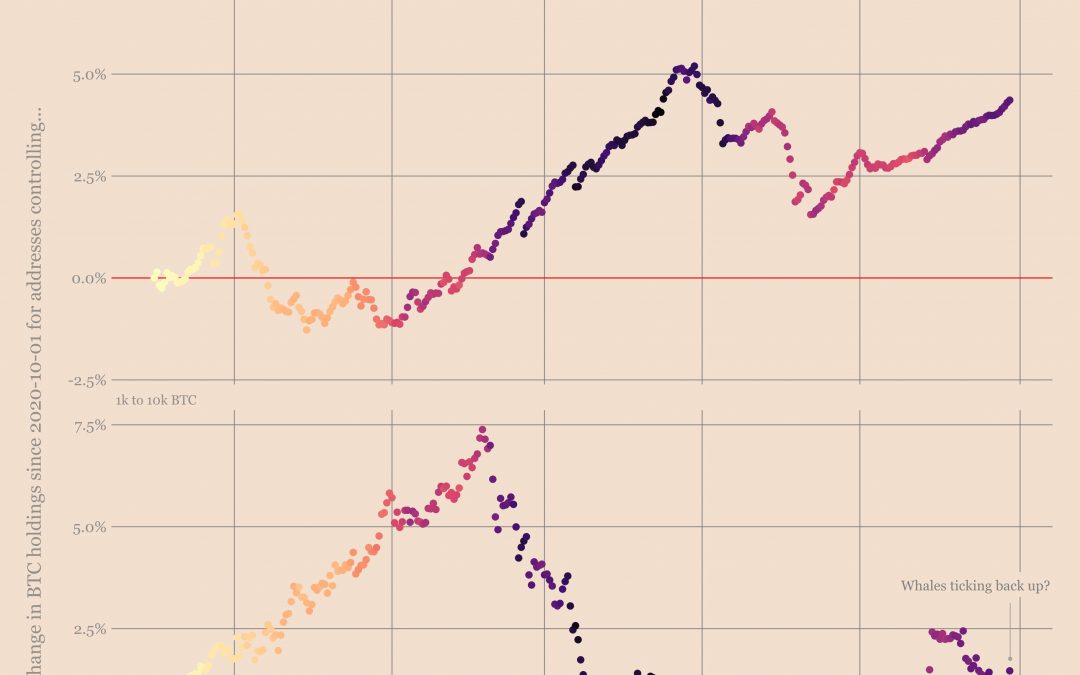 Bitcoin whales join ‘small fish’ in buying BTC as price holds above $47K
