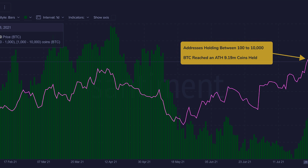 Active Bitcoin addresses surged 30% in late July, data shows