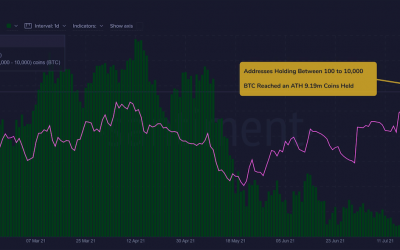 Active Bitcoin addresses surged 30% in late July, data shows