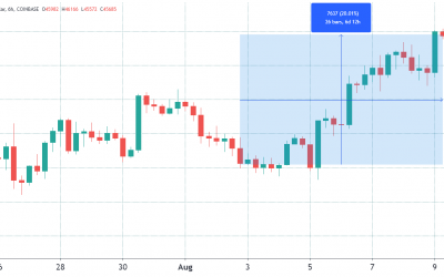 Bears lick their paws while Bitcoin price blasts through $46,000