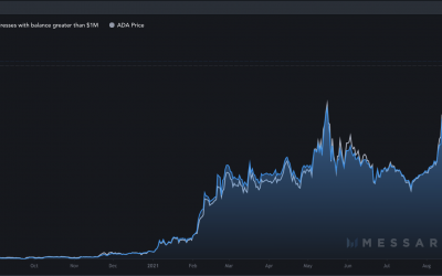 Number of Cardano millionaires rises by 173% after ADA price hits new highs