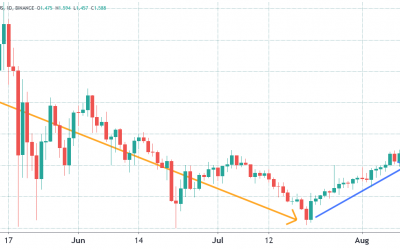 Cardano price is hot, but data shows pro investors haven’t warmed up yet