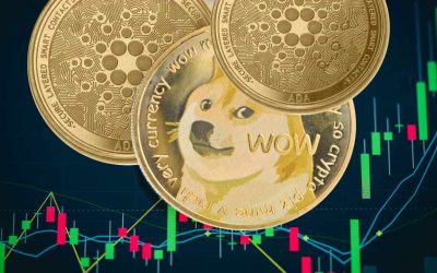 Dogecoin Millionaire Says He’s Going ‘All in’ on Cardano — Bullish on Both DOGE and ADA