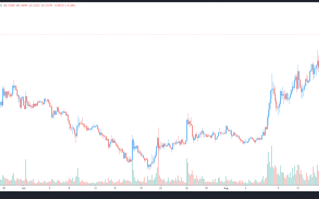 Wen Dogecoin moon? On-chain data and trading volumes suggest soon