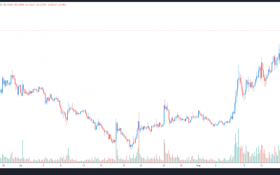 Wen Dogecoin moon? On-chain data and trading volumes suggest soon