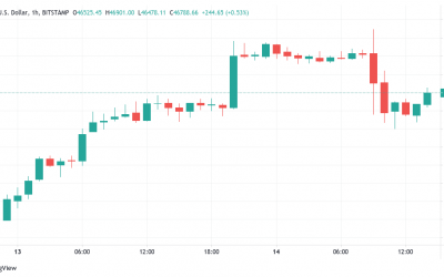 Bitcoin holds $46K support after failed breakout, Cardano price passes $2.20