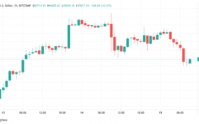 BTC price slips under $46K but analysts are betting on new Bitcoin all-time highs