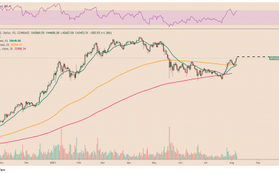 Bitcoin erases May crash losses as BTC price rebounds to $44K