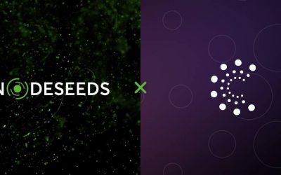 Nodeseeds Launches Three-Tier Membership to Ensure Transparency and Fair Allocation of Projects