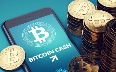 Bitcoin Cash Shows Maturity in Its Fourth Anniversary