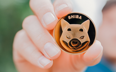 Where to buy Shibance: WOOF extends gains with a 70% rise