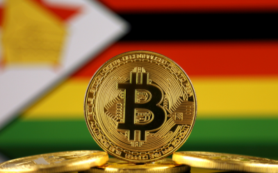 Zimbabwe’s Finance Minister pushes for crypto solutions