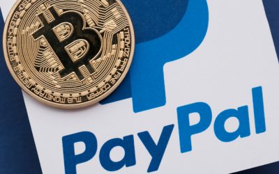 We are in the early years of cryptocurrencies, says PayPayl CEO