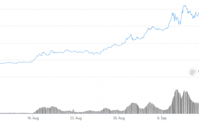 Solana and Arbitrum knocked offline while Ethereum evades attack