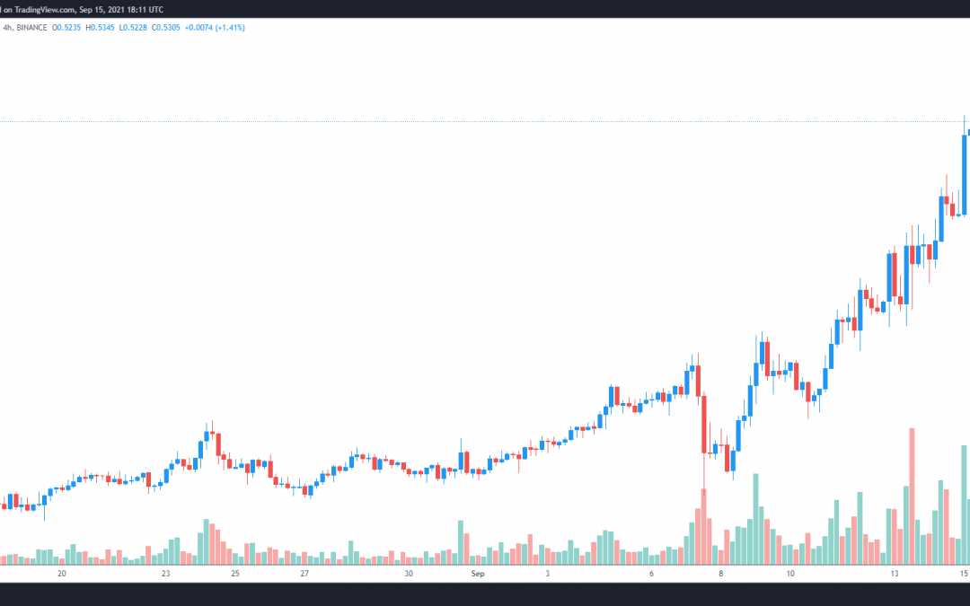 Hedera Hashgraph rallies 150% in a week as its ecosystem expands