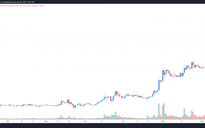 Three reasons why Quant’s price has rallied 200% in the last month