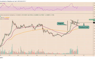 Bull flag breakout pushes Avalanche toward $80 as AVAX price hits another record high