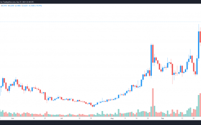 Stablecoin launch and NFT integration back COTI’s rise to a new all-time high