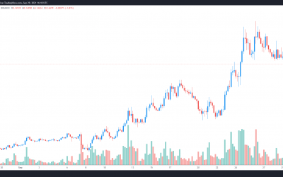 Celer (CELR) gains 400% after traders embrace its multi-chain ‘cBridge 2.0’ solution